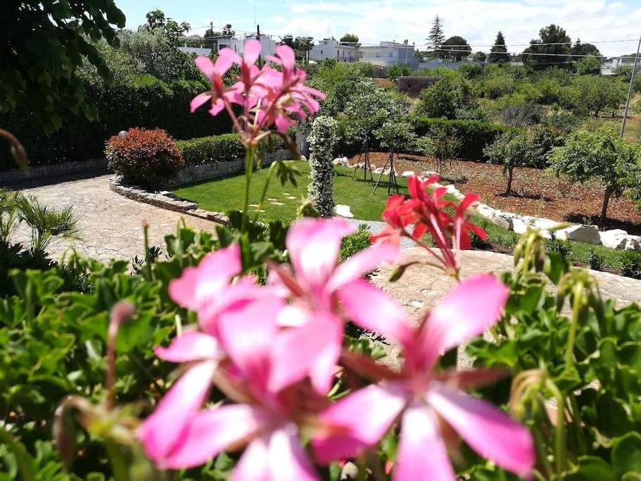 Casa Marisa Villa Vacanza Castellana Grotte Εξωτερικό φωτογραφία