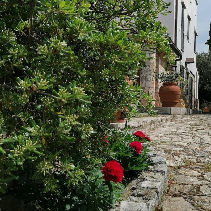 Casa Marisa Villa Vacanza Castellana Grotte Εξωτερικό φωτογραφία