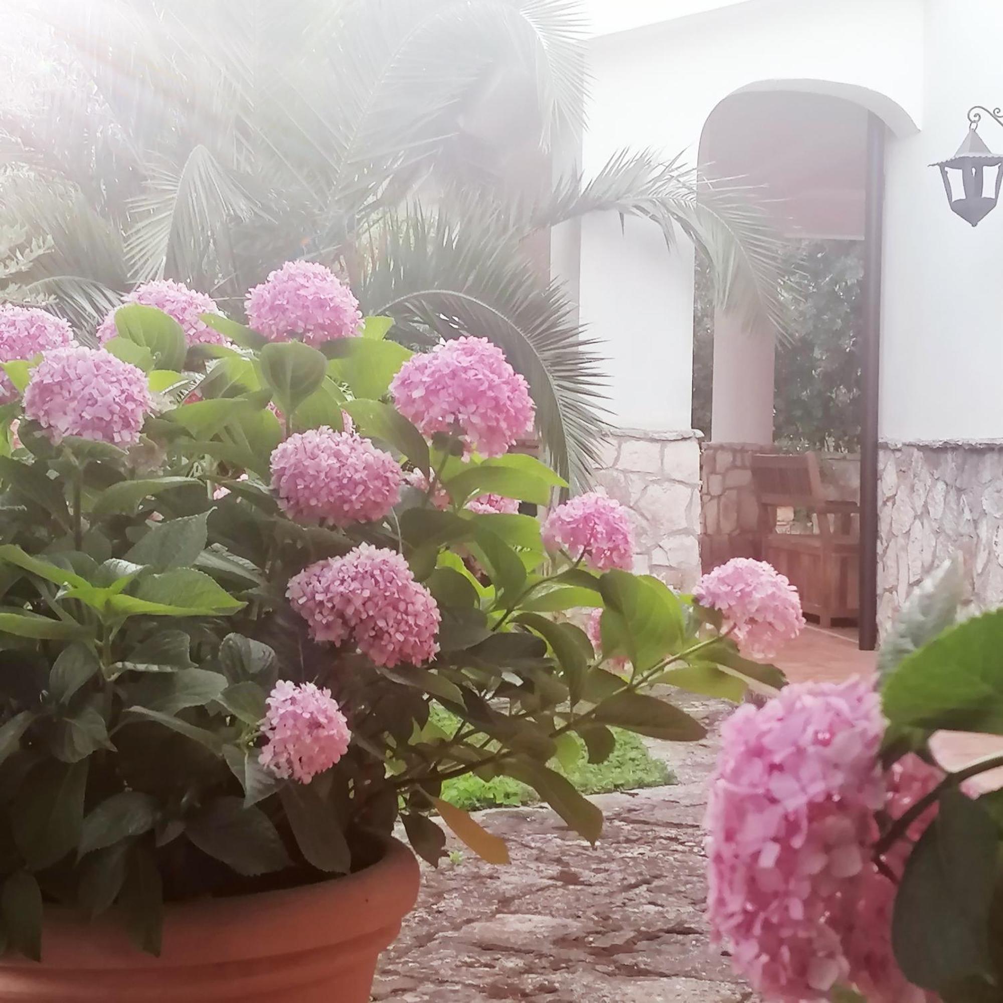Casa Marisa Villa Vacanza Castellana Grotte Εξωτερικό φωτογραφία